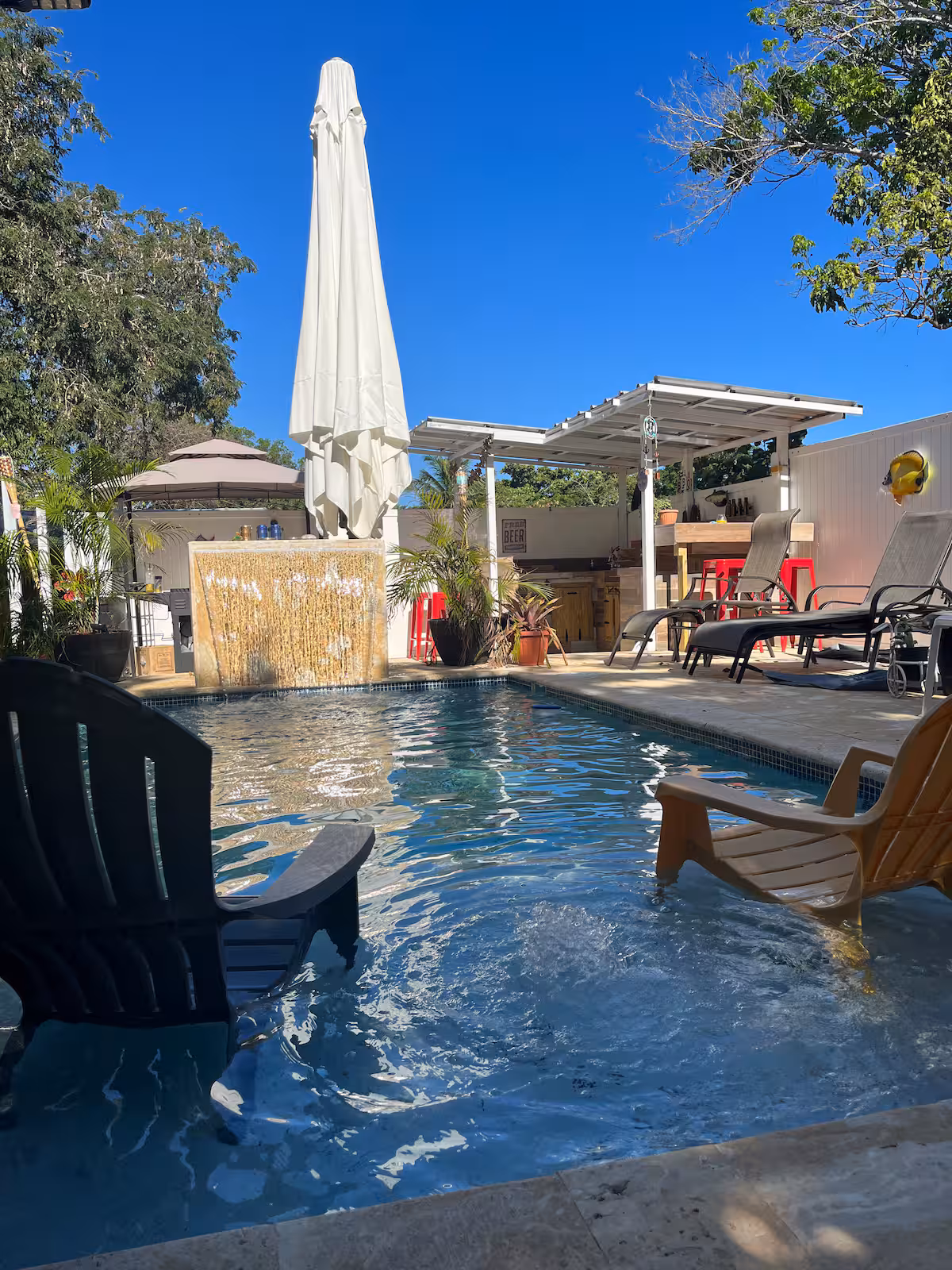 Backyard and pool area 1