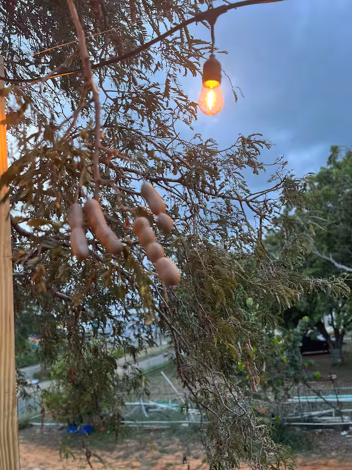 Patio and outdoor dining 3